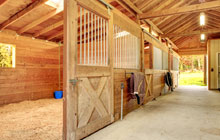 Dryhope stable construction leads